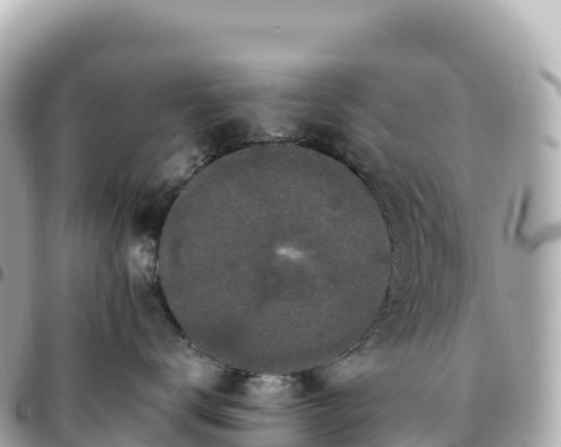 X0000095900672200801251225