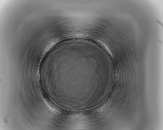 X0000095900674200801251225