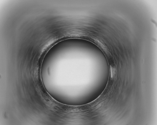 X0000095900675200801251225