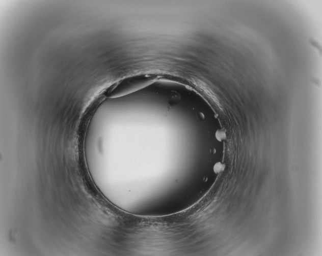 X0000095900676200801251225