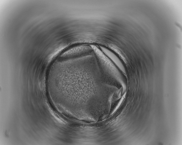 X0000095900677200801251225