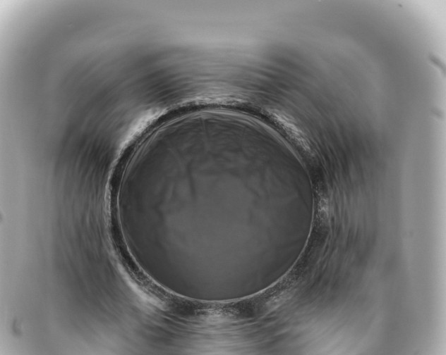 X0000095900678200801251225