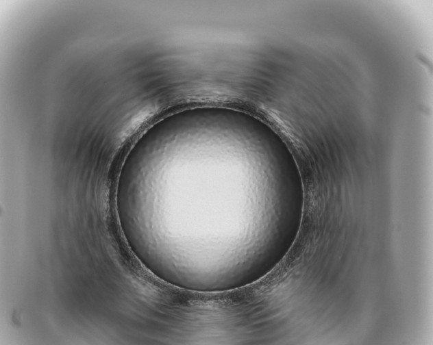 X0000095900679200801251225