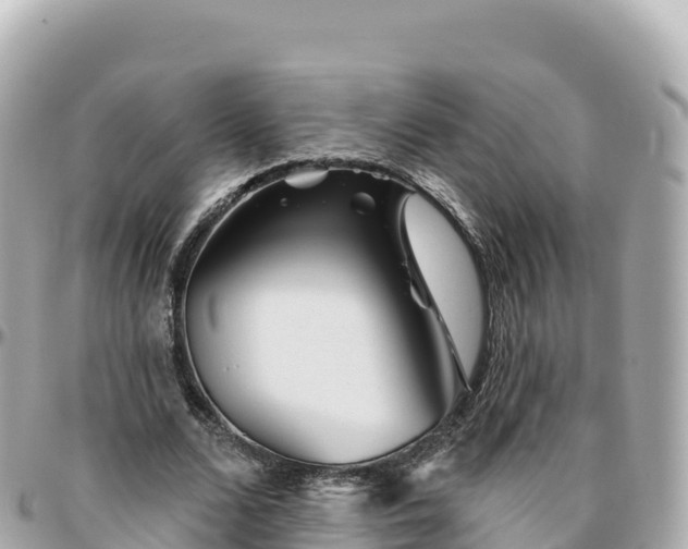 X0000095900680200801251225