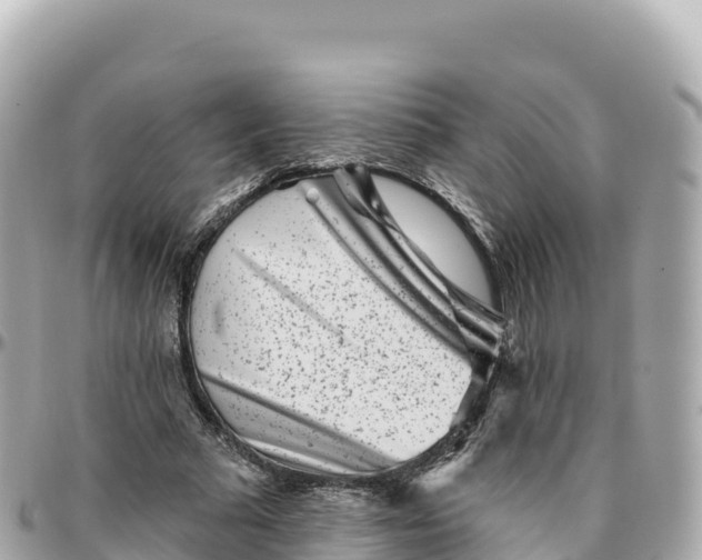 X0000095900681200801251225