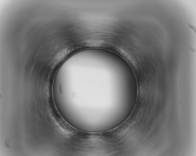 X0000095900682200801251225