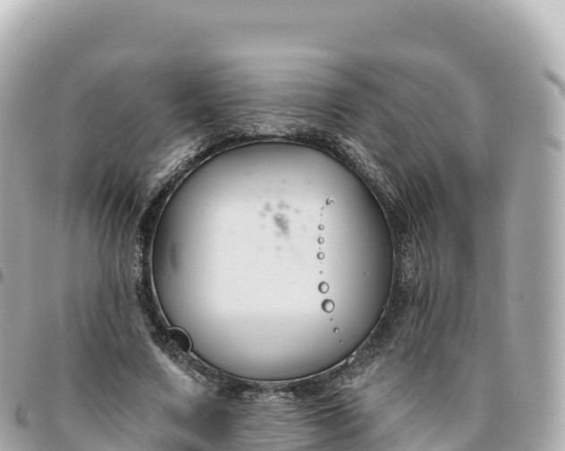 X0000095900683200801251225