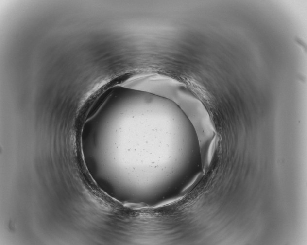 X0000095900684200801251225