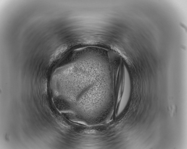 X0000095900685200801251224