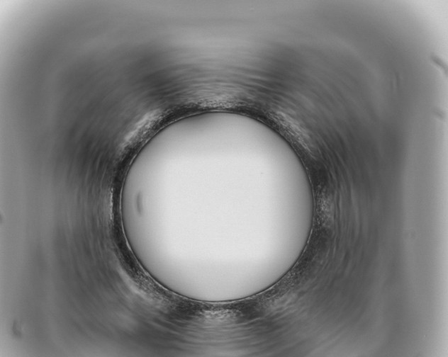 X0000095900686200801251224