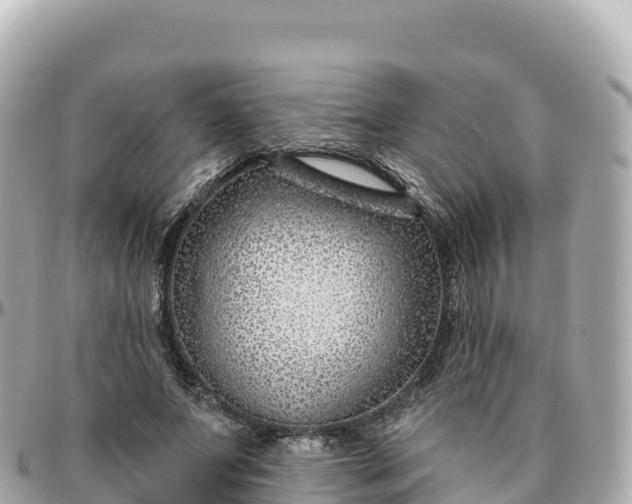 X0000095900687200801251224