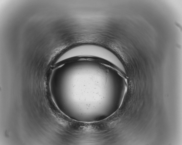 X0000095900688200801251224