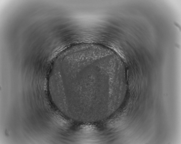 X0000095900689200801251224