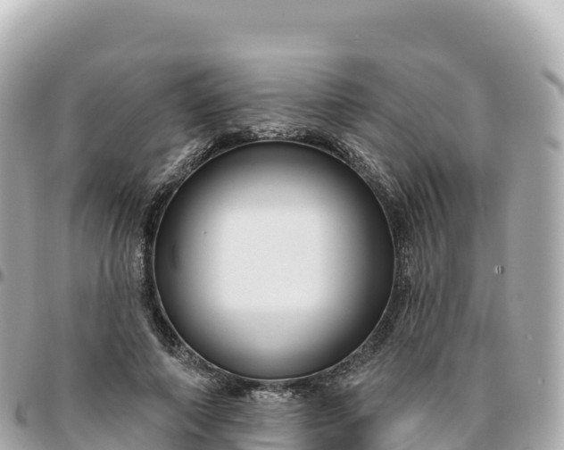 X0000095900690200801251224