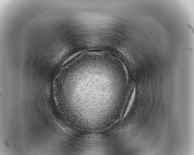 X0000095900691200801251224