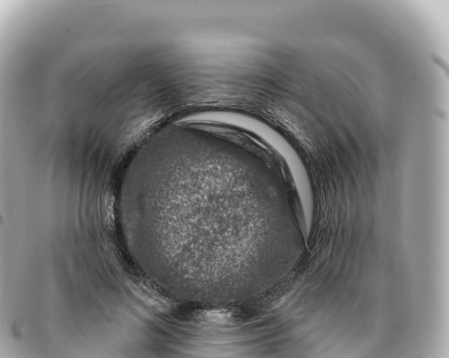 X0000095900692200801251224