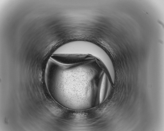 X0000095900693200801251224