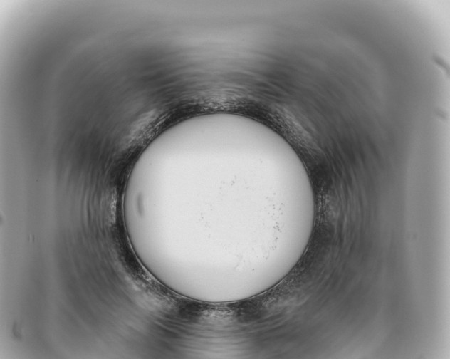 X0000095900694200801251224