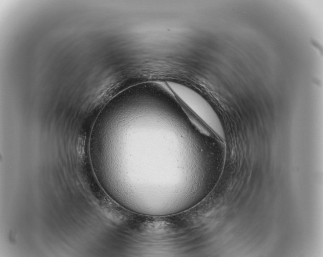 X0000095900695200801251224