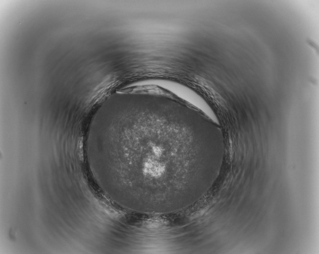 X0000095900696200801251224