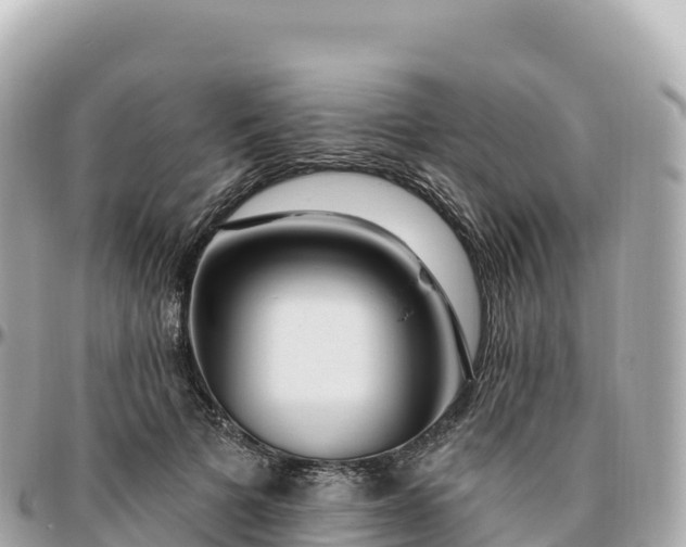 X0000095900697200801251224