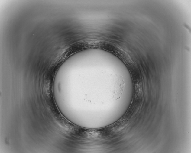 X0000095900698200801251224