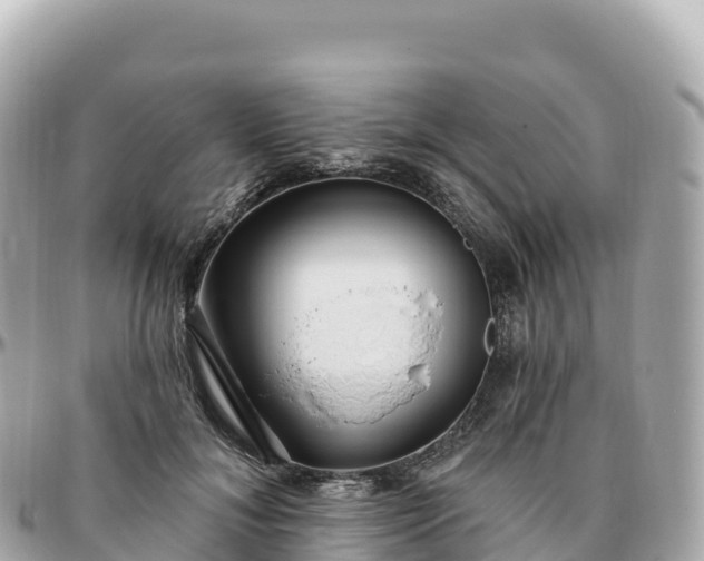 X0000095900700200801251224