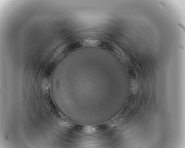 X0000095900701200801251224