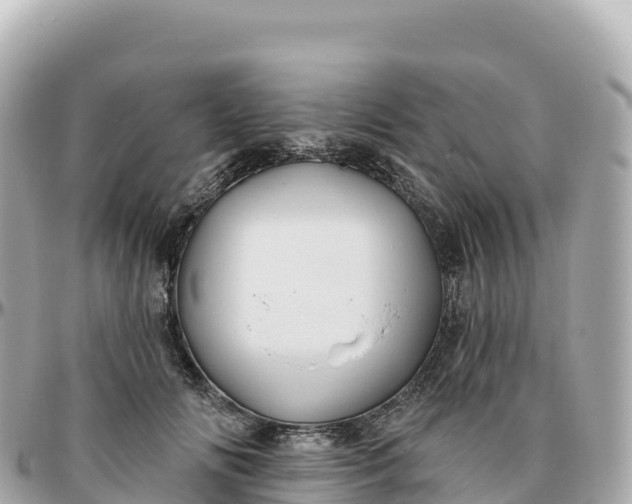 X0000095900702200801251224