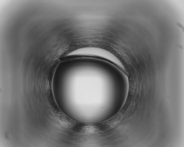 X0000095900704200801251224