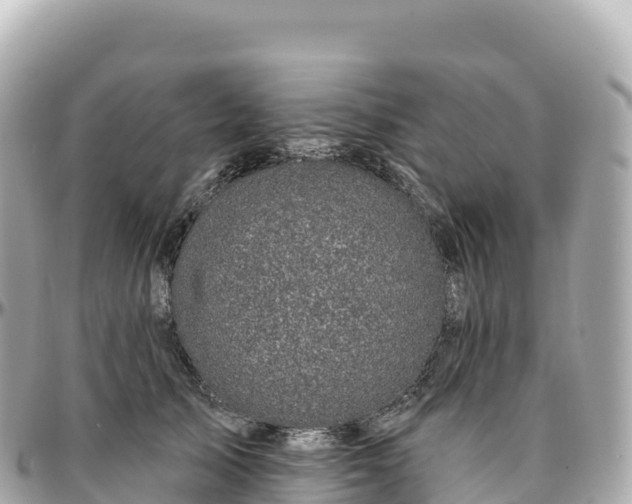 X0000095900705200801251224