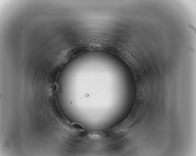 X0000095900706200801251224