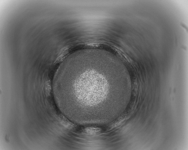 X0000095900707200801251224