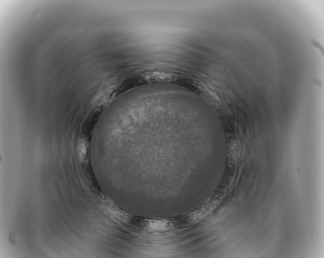 X0000095900709200801251224