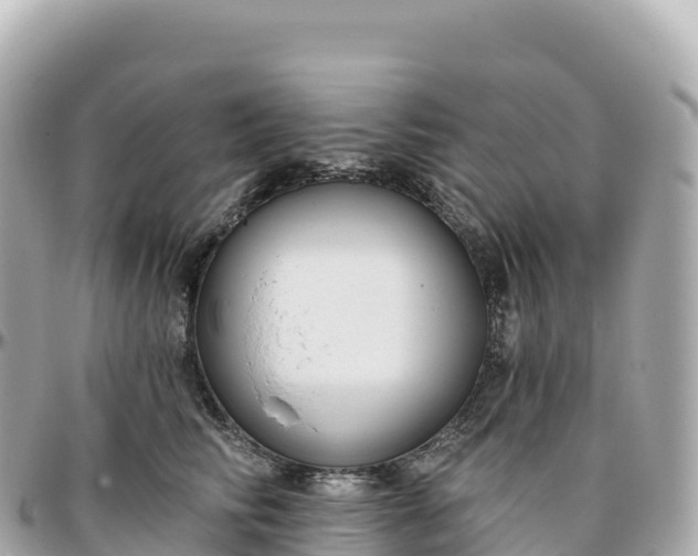 X0000095900710200801251224