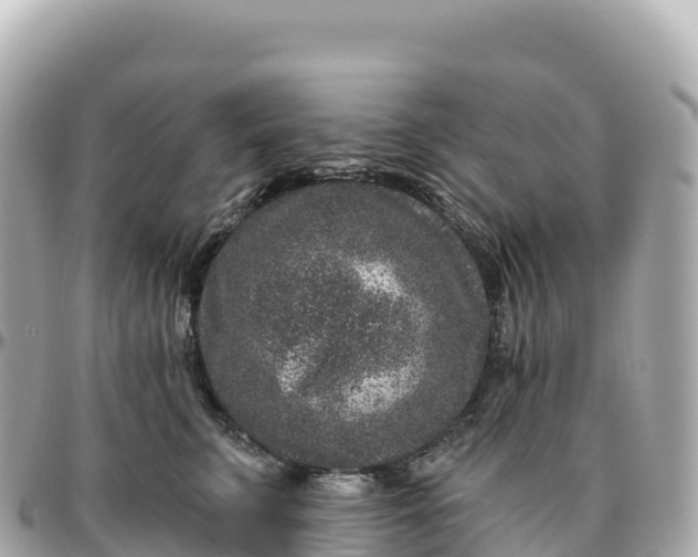 X0000095900711200801251224