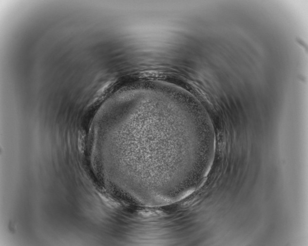 X0000095900712200801251224