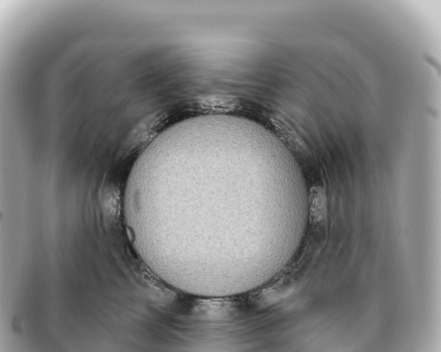 X0000095900713200801251224