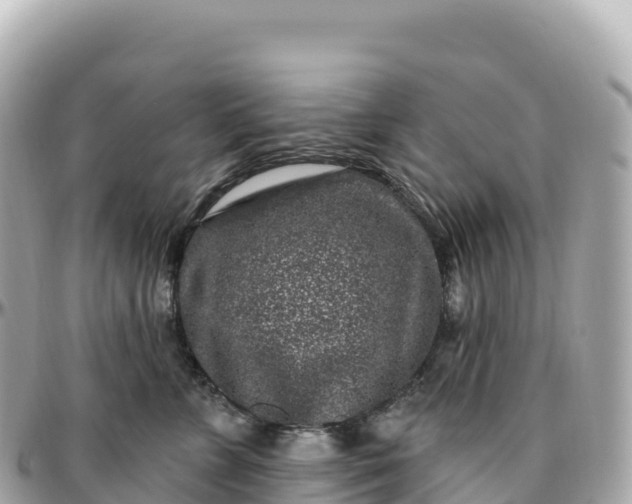 X0000095900715200801251224