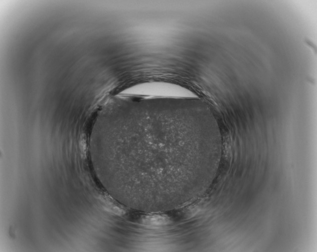 X0000095900716200801251224