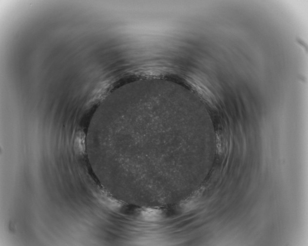 X0000095900718200801251224