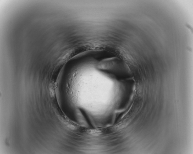 X0000095900719200801251224