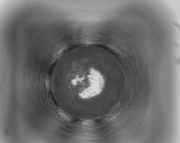 X0000095900720200801251224