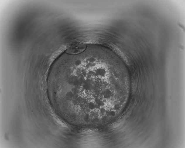 X0000095900721200801251223