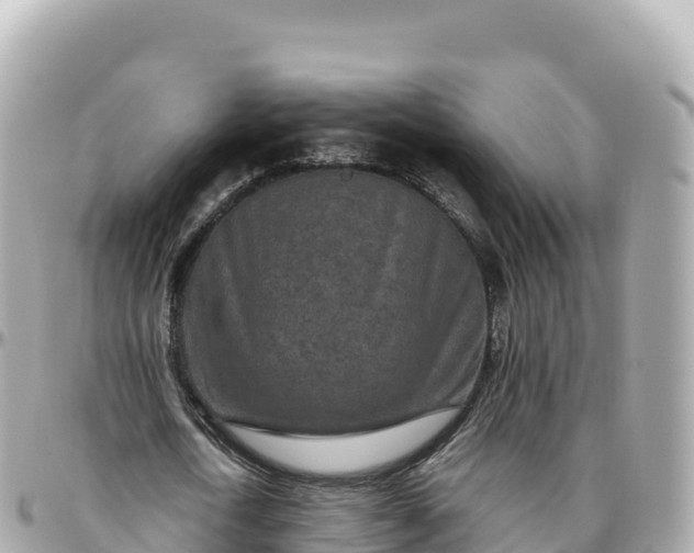 X0000095900722200801251223