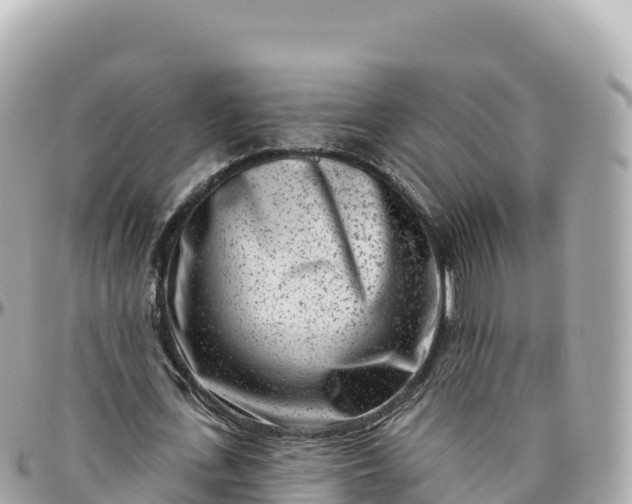 X0000095900723200801251223