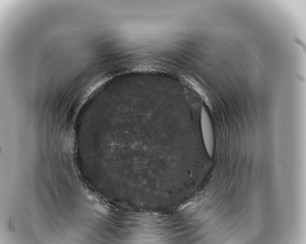 X0000095900724200801251223