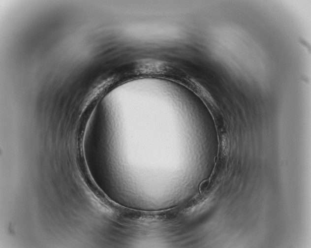 X0000095900725200801251223