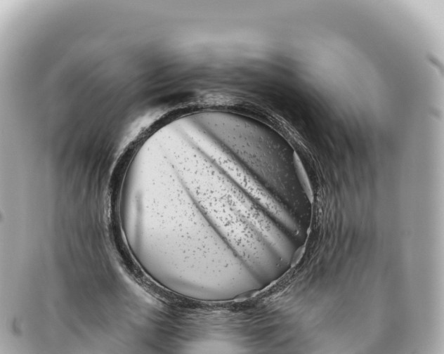 X0000095900726200801251223