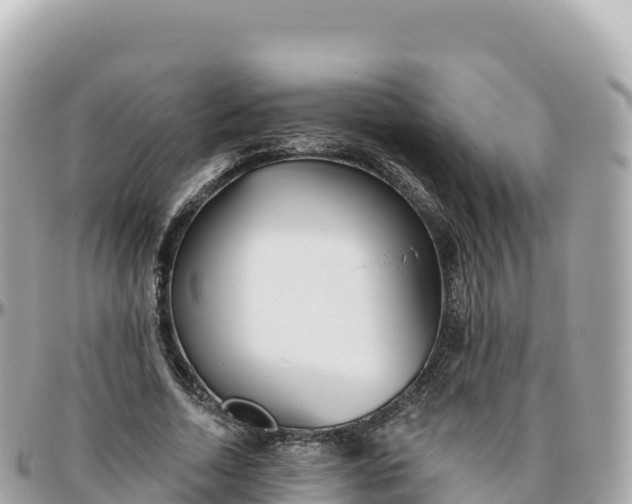 X0000095900730200801251223